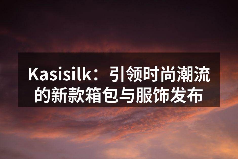 新款箱包，时尚与实用的完美结合